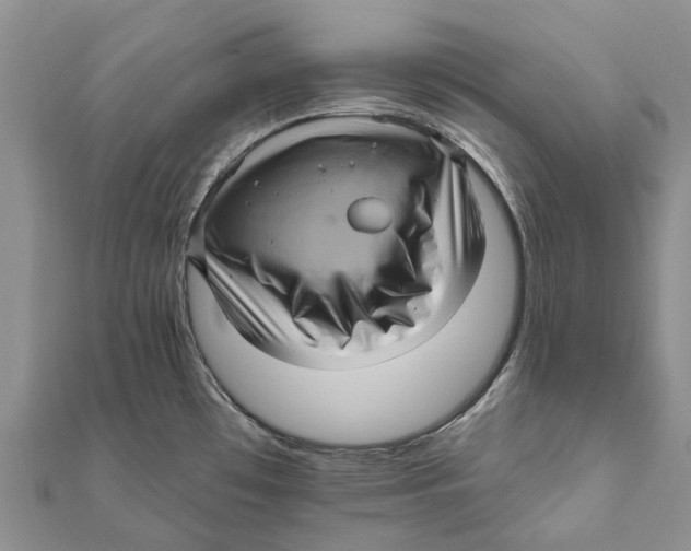 X0000111581481200908131308