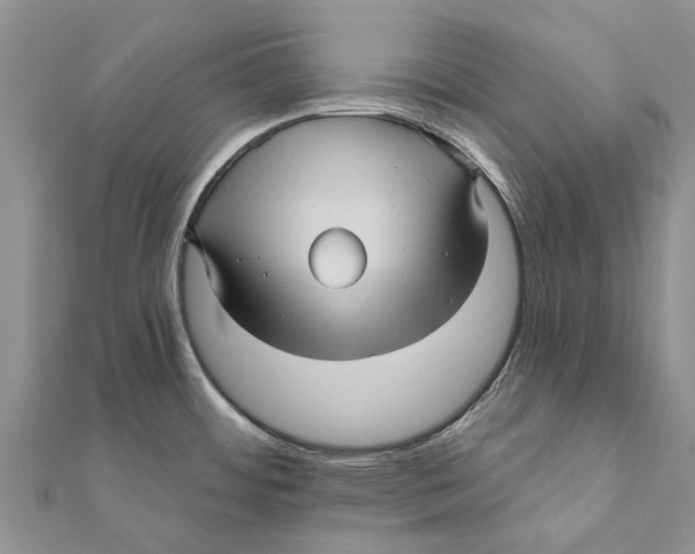 X0000111581484200908131308