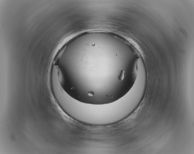 X0000111581485200908131308