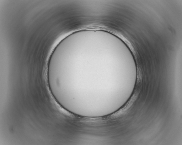 X0000111581486200908131308