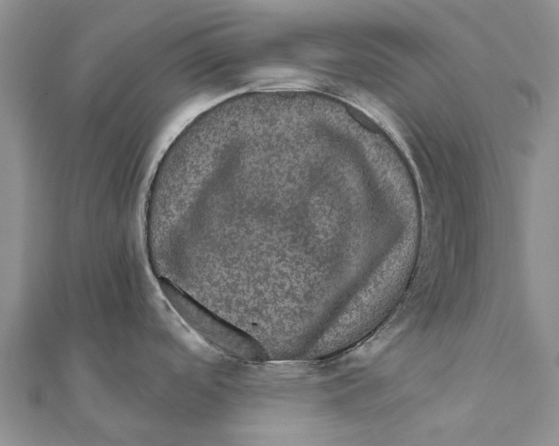 X0000111581488200908131308