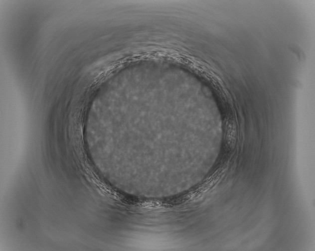 X0000111581489200908131307