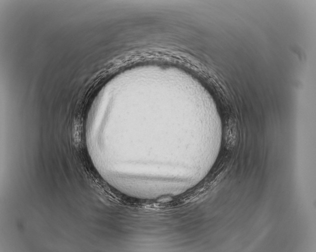 X0000111581490200908131307