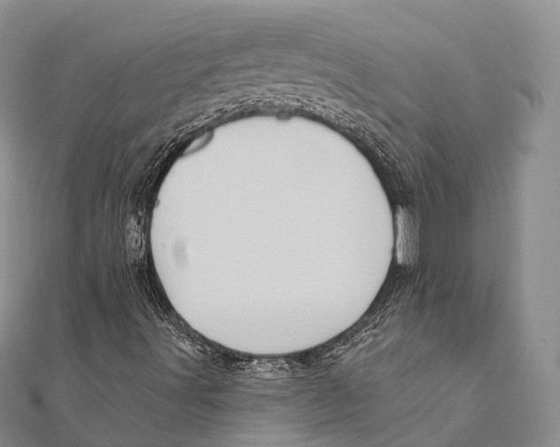 X0000111581491200908131307