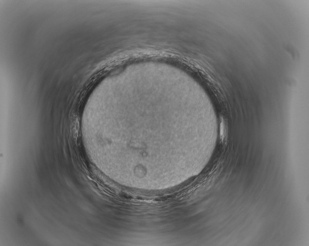 X0000111581492200908131307