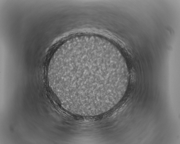 X0000111581494200908131307