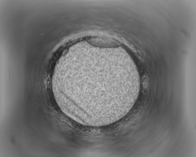 X0000111581495200908131307