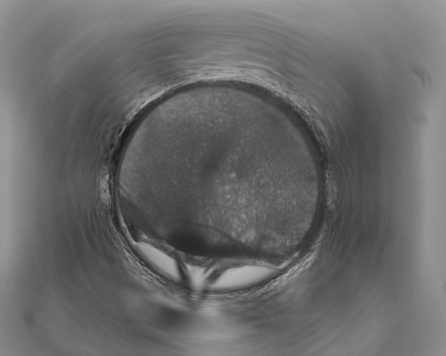 X0000111581497200908131307