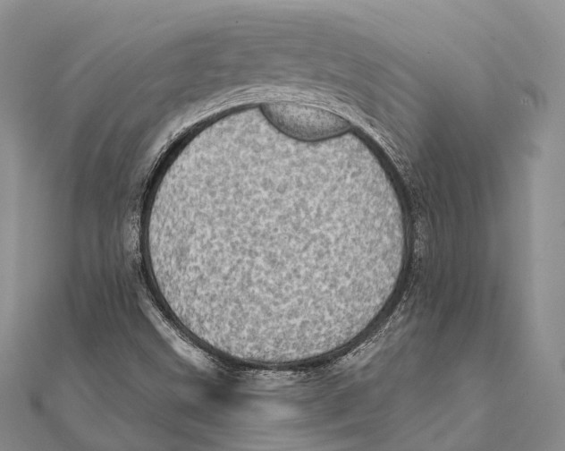 X0000111581499200908131307