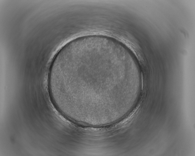 X0000111581500200908131307