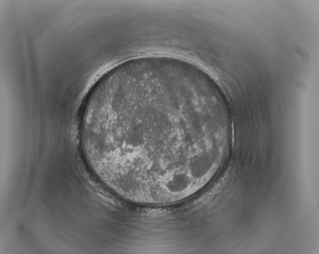 X0000111581501200908131307