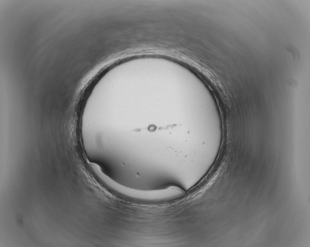 X0000111581502200908131307