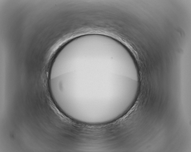 X0000111581503200908131307