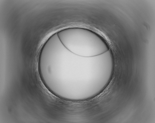 X0000111581504200908131307