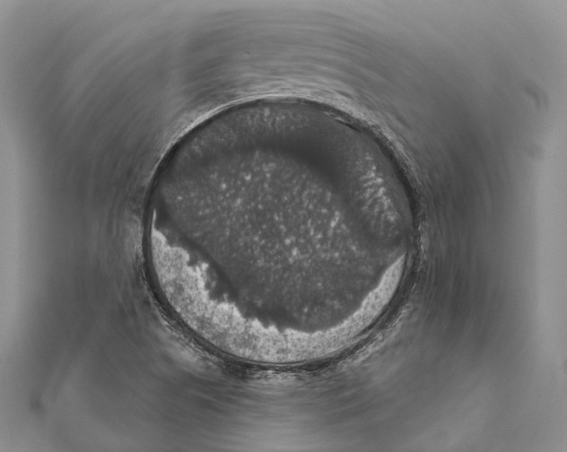 X0000111581505200908131307