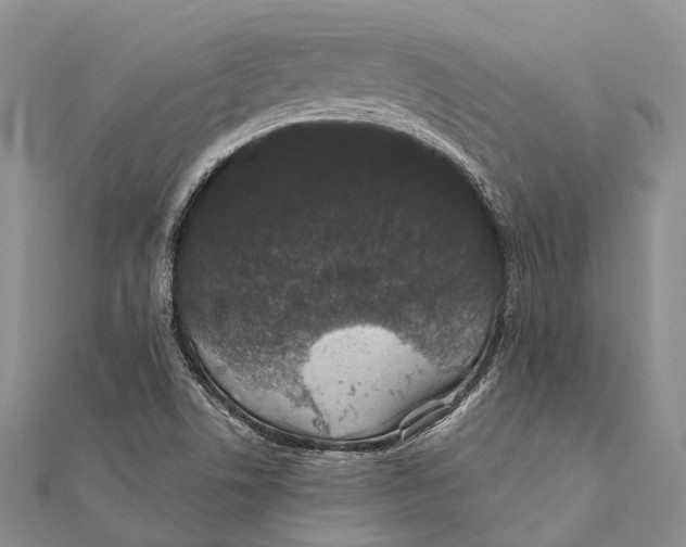 X0000111581506200908131307