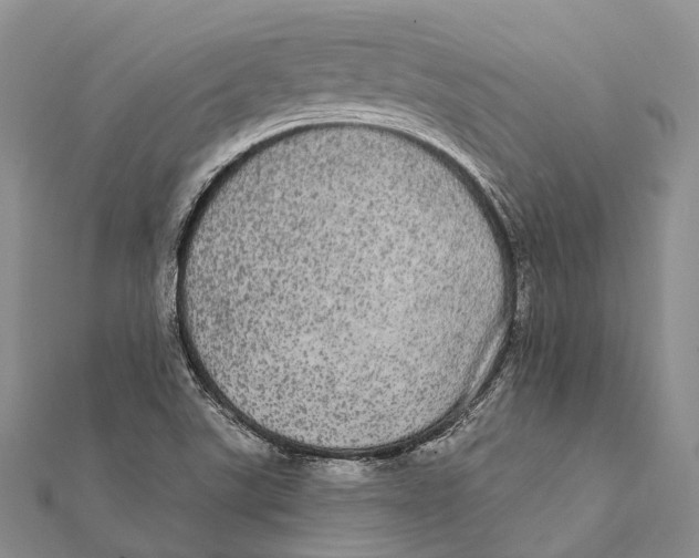 X0000111581507200908131307