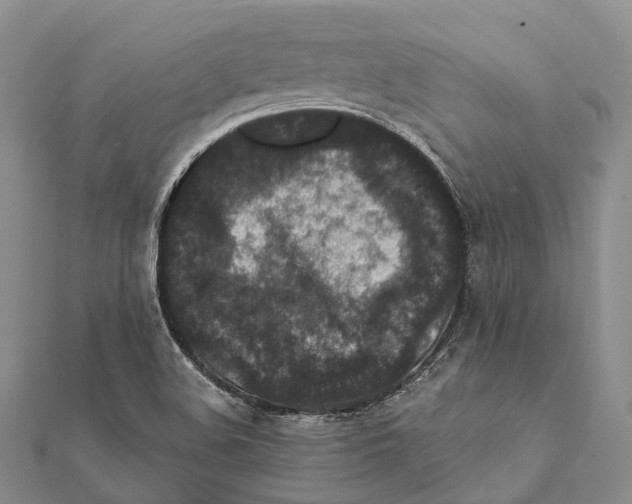 X0000111581508200908131307