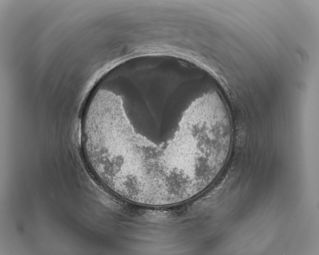 X0000111581509200908131307