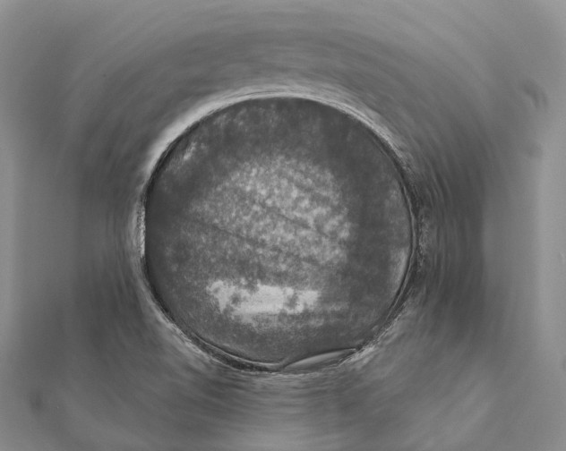 X0000111581510200908131307