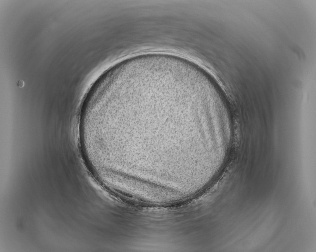 X0000111581511200908131307