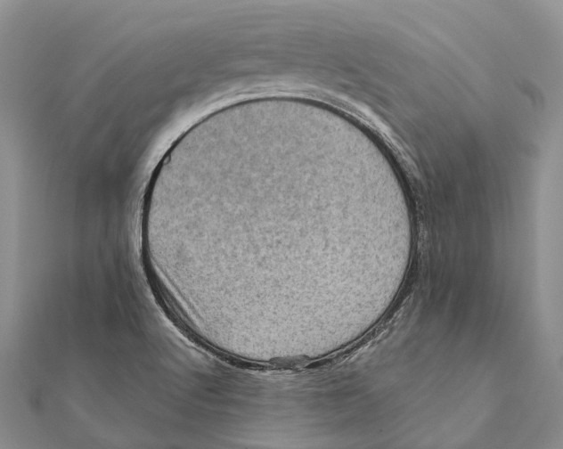 X0000111581512200908131307