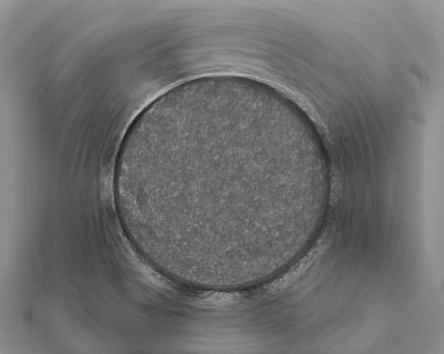 X0000111581513200908131307