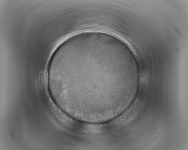 X0000111581514200908131307