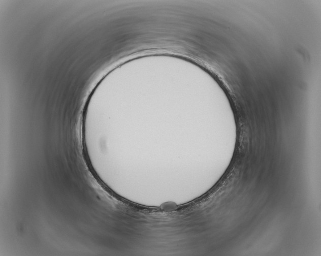 X0000111581516200908131307