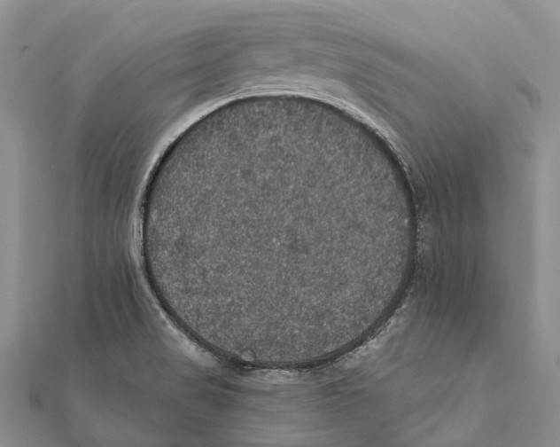 X0000111581517200908131307