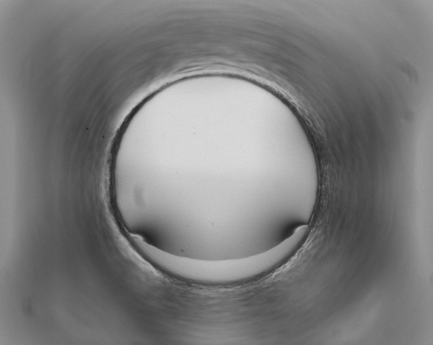 X0000111581518200908131307