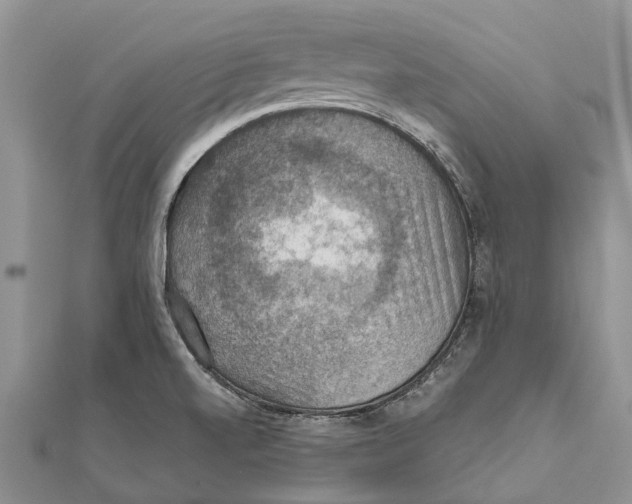 X0000111581520200908131307