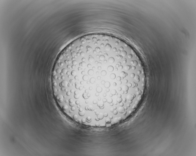 X0000111581521200908131307