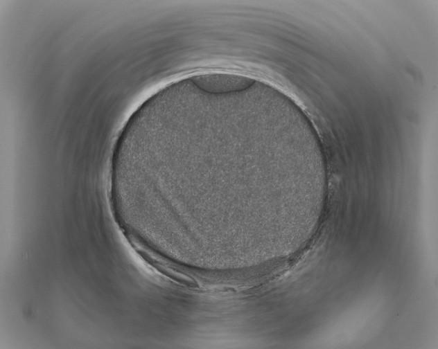 X0000111581523200908131307