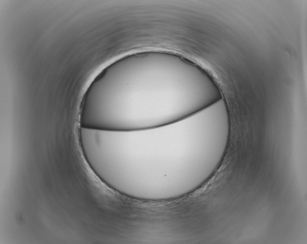 X0000111581524200908131307