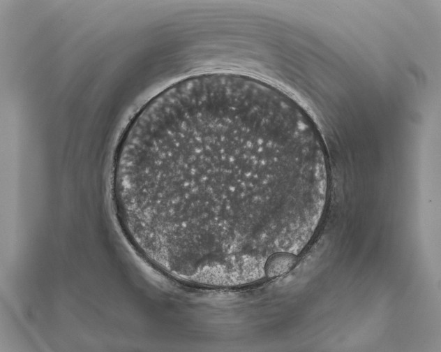 X0000111581525200908131307