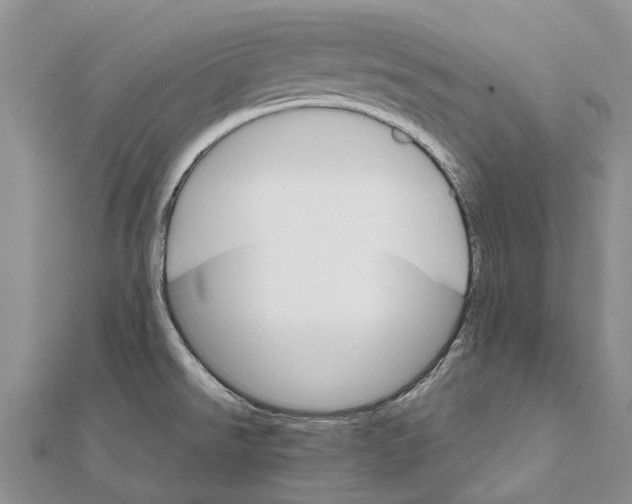 X0000111581526200908131308