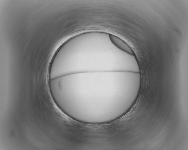 X0000111581527200908131308