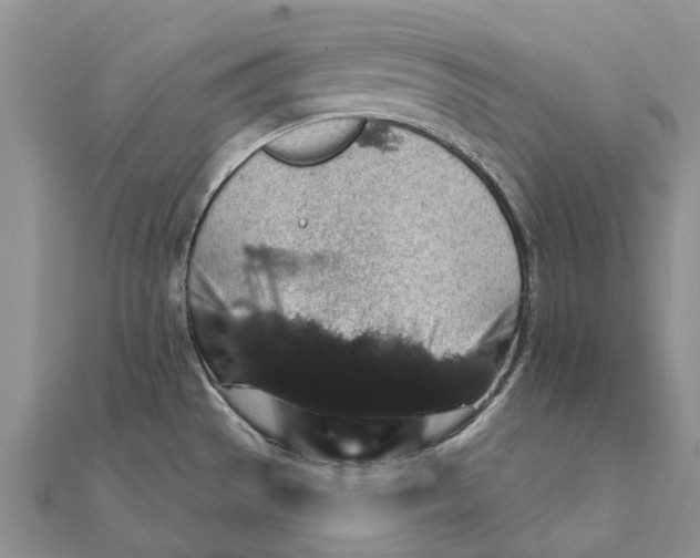 X0000111581529200908131308