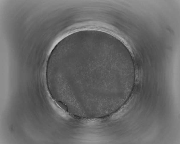 X0000111581530200908131308