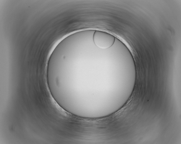 X0000111581532200908131308