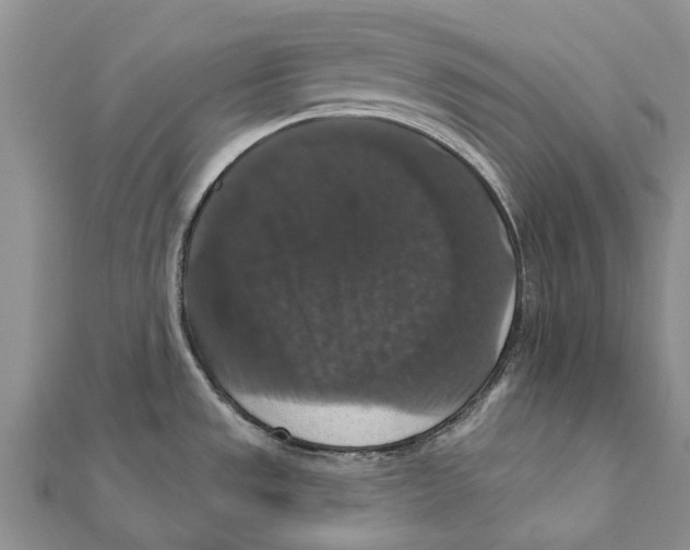 X0000111581533200908131308