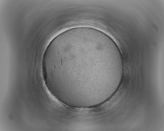 X0000111581534200908131308