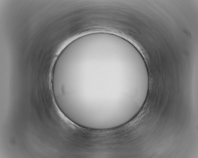 X0000111581535200908131308