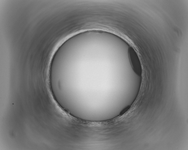 X0000111581536200908131308