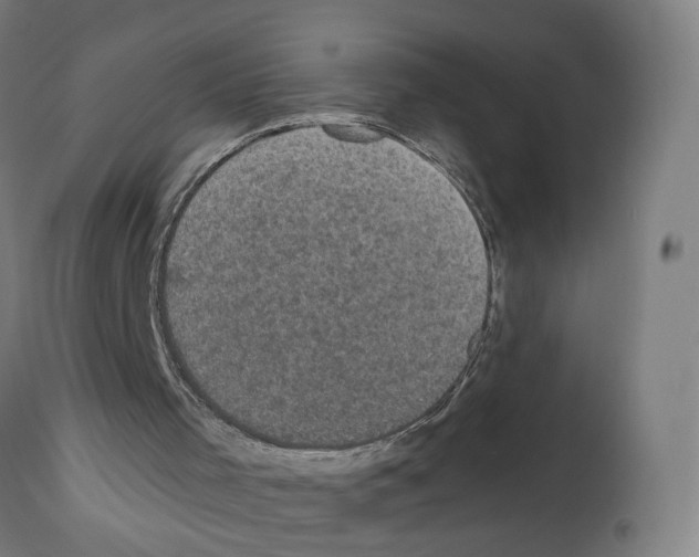 X0000111580001200908271047