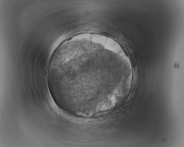 X0000111580003200908271047