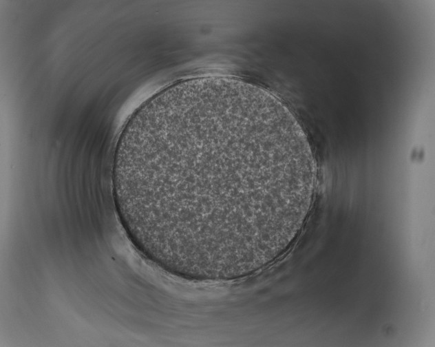 X0000111580004200908271047