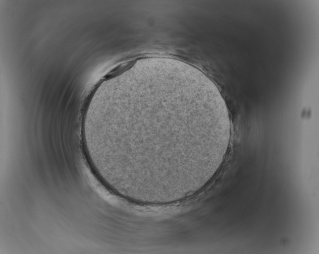 X0000111580005200908271047