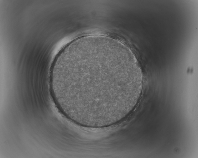 X0000111580006200908271047